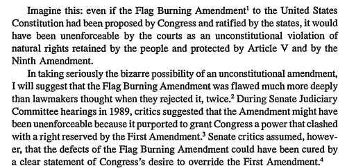 Flag desecration amendment